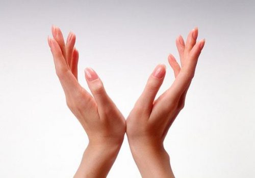 cấu trúc bàn tay