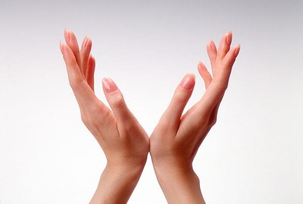 cấu trúc bàn tay